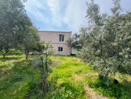 Einfamilienhaus Zum Verkauf Auf Einem 2000M2 Großen Grundstück Am Meer Im Viertel Marmaris Söğüt. Geeignet Zum Festbinden Eines Bootes Davor.