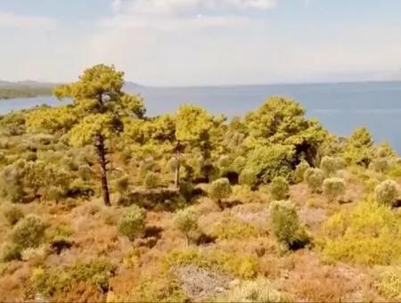 Die Zum Verkauf Stehende Insel Im Golf Von Gökova Im Bezirk Marmaris Hat Eine Grundstücksfläche Von 365000M2 Und Es Befindet Sich Ein Eingetragenes Haus Darin.