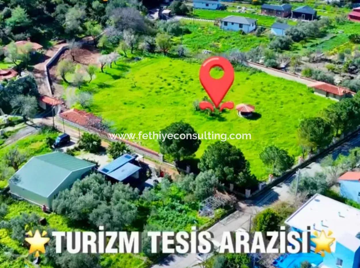 Land For Sale In Söğüt Village Of Marmaris District, 150 Meters To The Sea, 10000M2. It Can Be Used As A Camping Caravan Camping Area In The Tourism Area.