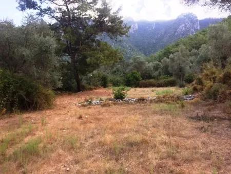 Orhaniye Marmaris District Of District Farmland For Sale 400 M2