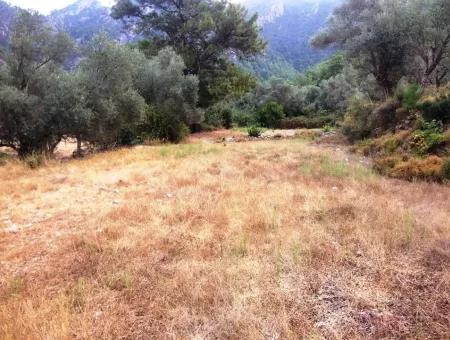 Orhaniye Marmaris District Of District Farmland For Sale 400 M2