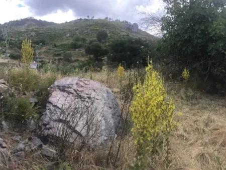 Akbuk, Mugla Province, County And Neighborhood Of The House In A Plot Of 3500 M2 In Zeytinkoy 2 Current Land Plot For Sale