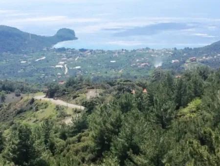 Land For Sale With Sea View With 52000M2 Parcel In Mugla Province Datca District Masoudye Neighborhood