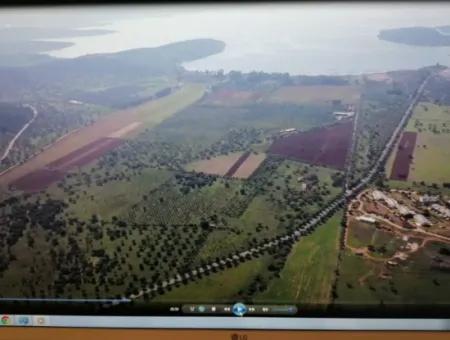 Land For Sale In Milas Kıyıkşlacik Area Suitable For Major Projects With 712000M2 Tourism And Residential Development