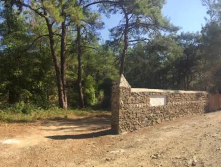 Land For Sale Suitable For Bungalow Hotel In 7500M2 Plot In Bördübet Bay