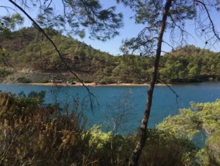 Land For Sale Suitable For Bungalow Hotel In 7500M2 Plot In Bördübet Bay