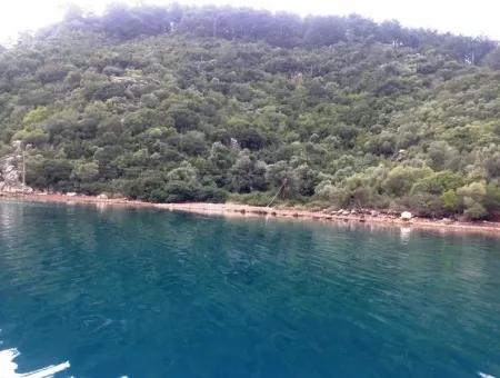 Marmaris Merkezinde Denize Sıfır Satılık Köy Evi 5500M2 Liman İçinde